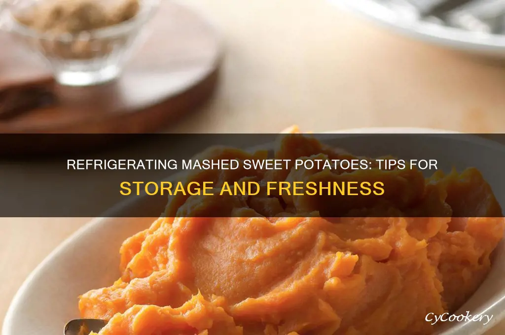 Store, Reheat, & Freeze: Mashed Sweet Potatoes Made Easy